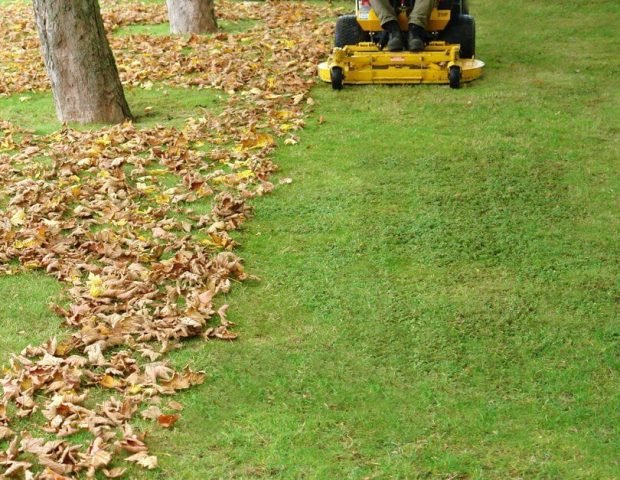 fall-cleanup fall-cleanup